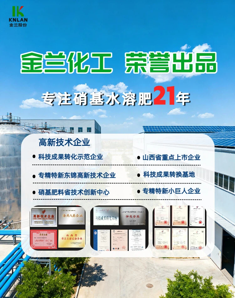 01金兰化工12-4-39+TE 水溶肥.jpg