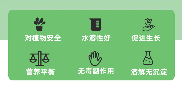 03金兰化工12-4-39+TE 水溶肥.jpg