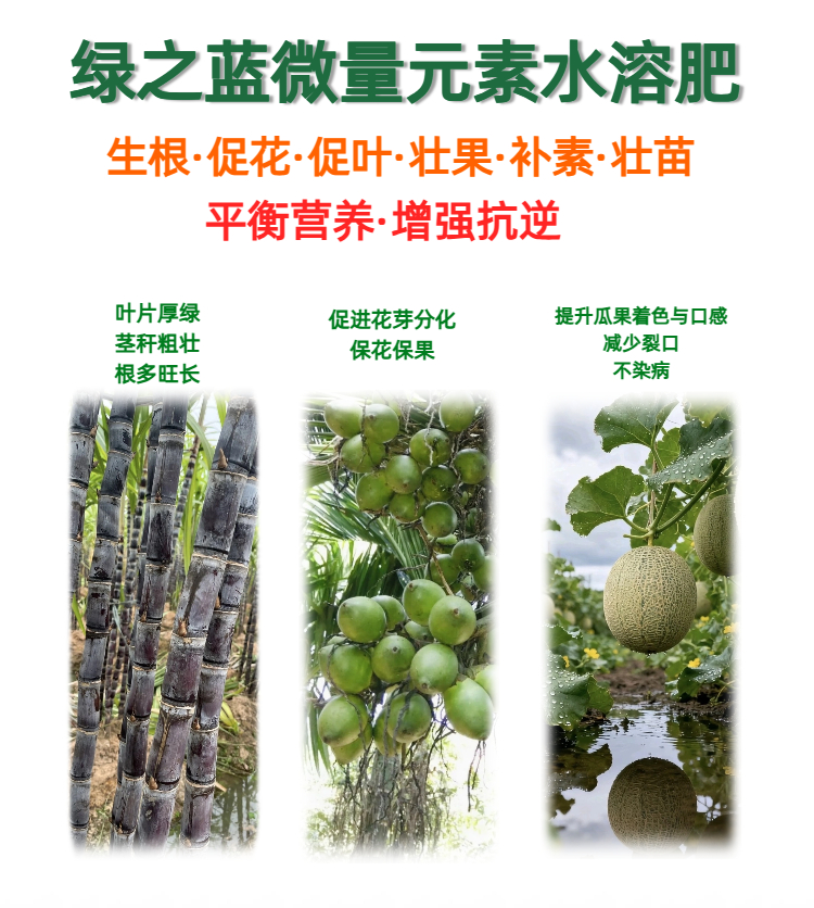 13金兰化工绿之兰微量元素水溶肥.jpg