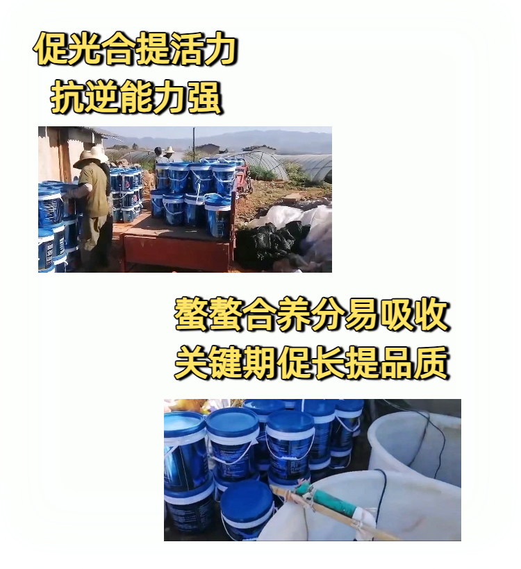 11虾蟹磷脂原浆详情页.jpg