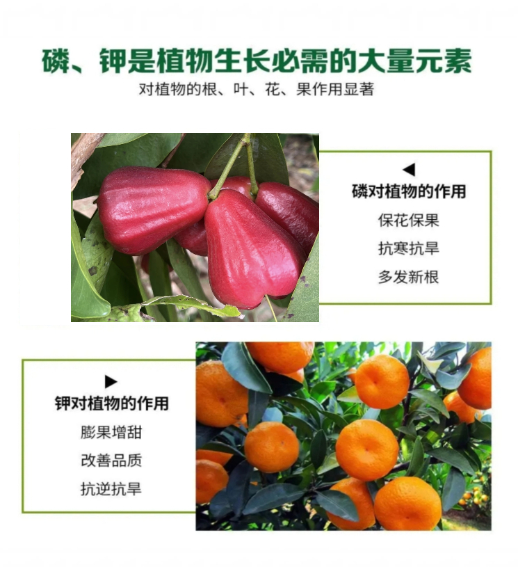 11云天化磷酸二氢钾 1KG箱装详情页.jpg