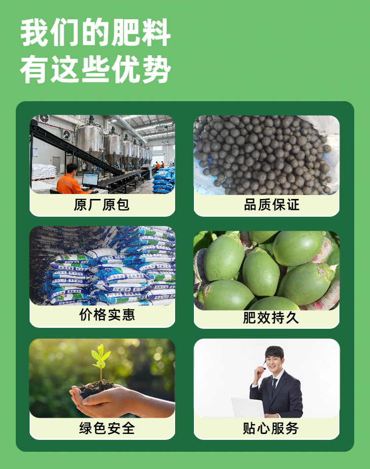 04氨基酸有机肥.jpg