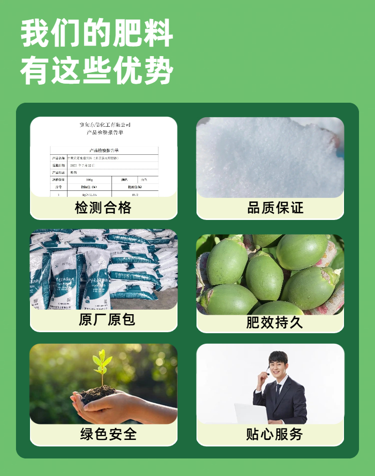 04大坝多元素农用硼砂 新）详情页.jpg