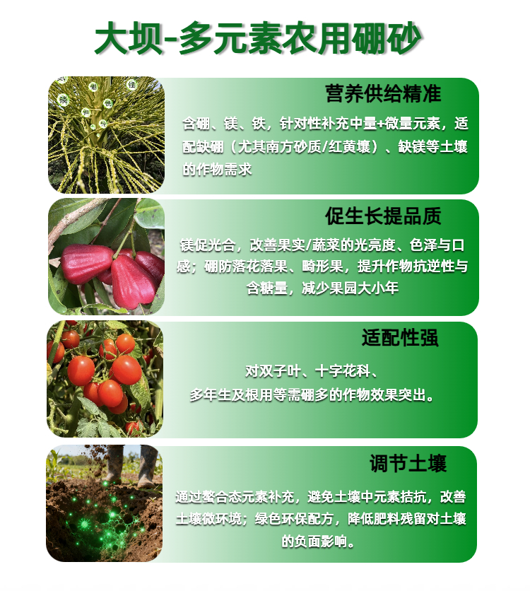 11大坝多元素农用硼砂 新）详情页.jpg