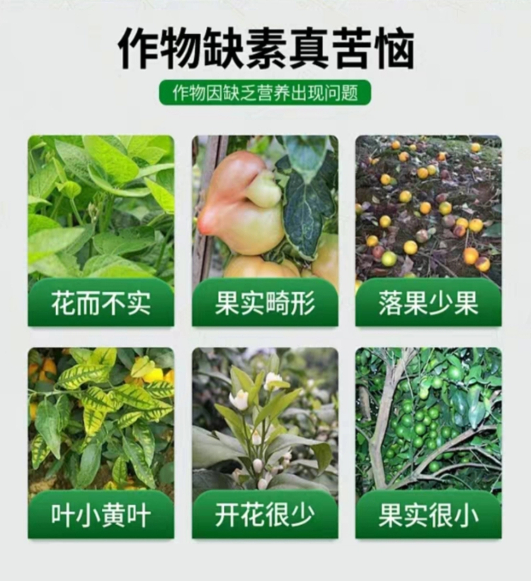 06大坝多元素农用硼砂 新）详情页.jpg