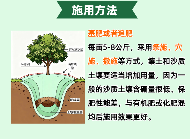 09大坝多元素农用硼砂 新）详情页.jpg
